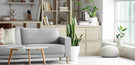 The Room Divider: Room Zoning On A Budget