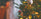 When Does The UK Put Up Their Christmas Tree?