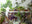 The Urban Jungle Décor Trend Fuses Nature & Home