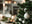 Christmas Dining Table Decor Inspiration