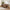 2 Seater Sofas