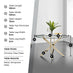 Novara Round Glass and Gold Metal 6 Seater Dining Table