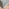 Enna White Glass Extending Dining Table and 6 Grey Lorenzo Chairs