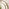 Alnwick Bronze Medium Round Window 70cm Garden Mirror
