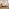 Amelie Orange Fabric Ottoman Double Bed Frame