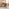 Anika Terracotta Orange Fabric Swivel Office Chair