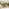 Antigua Beige Rattan 4 Seat Round Table Garden Dining Set
