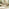 Asa Wood & Wicker 6 Seat Benches & Chairs Garden Dining Set
