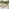 Hamburg & Asa Wood 8 Seat Extending Table Garden Dining Set