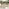 Hamburg & Asa Wood 8 Seat Extending Table Garden Dining Set