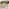 Asa Wood & Wicker 4 Seat Garden Dining Set