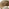 2x Asa Wood, Wicker & Cream Indoor / Outdoor Dining Chairs