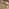 Asa Wood & Wicker 6 Seat Garden Dining Set