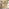 Asa Wood & Wicker 6 Seat Garden Dining Set
