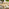 Asa Wood & Wicker 4 Seat Garden Dining Set
