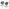 2x Anika Green Fabric Swivel Dining Chairs