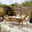 Antigua Beige Rattan 6 Seat Garden Dining Set
