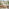 Arizona Beige Rattan 4 Seat Garden Sofa & Chairs Set