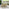 Asa & Hamburg Wood 4 Seat Garden Dining Set