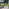 Belize Beige Rattan 2 Seat Garden Bistro Set