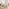 Blakeney Whitewashed and Grey Wood Dining Table & 2 Benches