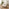 Bobby Cream Jumbo Corduroy Folding Double Sofa Bed