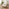 Bobby Cream Jumbo Corduroy Folding Double Sofa Bed