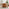 Bobby Orange Velvet Single Folding Sofa Bed Chair