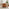 Bobby Orange Velvet Single Folding Sofa Bed Chair
