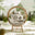 Boca Beige Rattan & Cream Cocoon Garden Egg Chair
