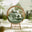 Boca Beige Rattan & Green Cocoon Garden Egg Chair