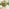 Boca Beige Rattan & Green Cocoon Garden Egg Chair