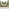 2x Brisa Natural Wood and Green Garden Chairs Set