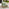 2x Brisa Natural Wood and Green Garden Chairs Set