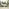 2x Brisa Natural Wood and Green Garden Chairs Set