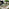Brisa Wood & Green 5/6 Seat Garden Sofa Set