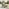 Brisa Teak Effect Wood & Green 8 Seat Garden Sofa Set