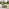 Brisa Teak Effect Wood & Green 8 Seat Garden Sofa Set