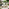 Brisa Teak Effect Wood & Cream 5/6 Seat Garden Sofa Set