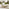 Brisa Teak Effect Wood & Cream 8 Seat Garden Sofa Set