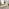 Bude Cream Round Wooden Dining Table & 4 Belgravia Chairs