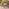 Barbados Beige Rattan 4 Seat Garden Dining Set