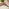 Barbados Beige Rattan 4 Seat Garden Dining Set