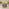 Barbados Beige Rattan 4 Seat Garden Dining Set