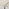 Lulworth Whitewashed Wood Dining Table 4 Cream Beaumont Chairs