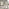 Aalto Whitewashed Wood Dining Table 6 Beige Belgravia Chairs