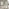 Padstow Grey Wooden Extending Dining Table & 6 Belgravia Chairs