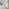 Padstow Grey Wooden Extending Dining Table & 4 Belgravia Chairs