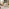 Belize Beige Rattan 2 Seat Garden Bistro Set