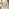 Belize Beige Rattan 2 Seat Garden Bistro Set
